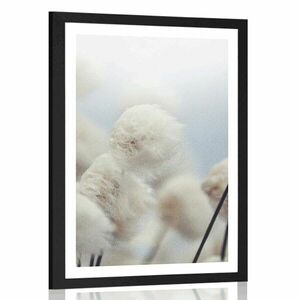 Plakat z passe-partout arktyczne kwiaty bawełny obraz