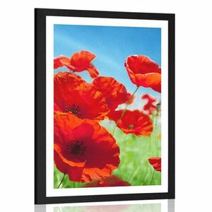 Plakat z passe-partout kwiaty maku na łące obraz