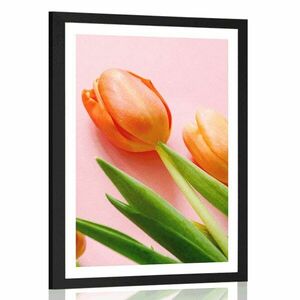 Plakat z passe-partout elegancki tulipan obraz