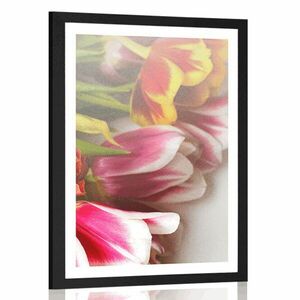 Plakat z passe-partout bukiet kolorowych tulipanów obraz