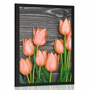 Plakat pomarańczowe tulipany na drewnianym tle obraz