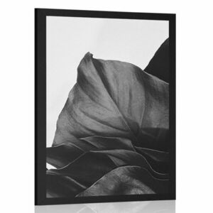 Plakat magiczny liść monstery w czerni i bieli obraz