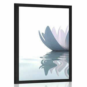 Plakat kwiat lotosu w rzece obraz