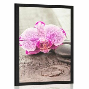 Plakat z passe-partout orchidea i kamienie Zen na drewnianym tle obraz