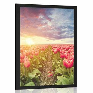 Plakat wschód słońca nad łąką z tulipanami obraz