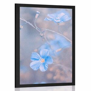 Plakat niebieskie kwiaty na vintage tle obraz