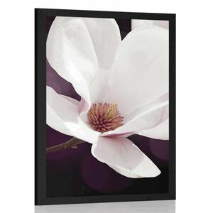Plakat kwiat magnolii na abstrakcyjnym tle obraz