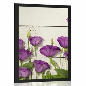 Plakat piękne fioletowe kwiaty obraz