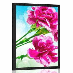 Plakat kwiat goździka obraz