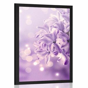 Plakat fioletowy kwiat bzu obraz