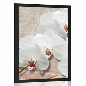 Plakat biała orchidea na płótnie obraz