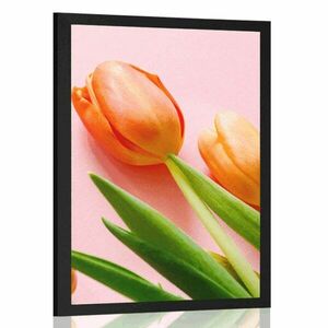 Plakat tulipan obraz
