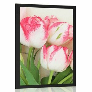 Plakat wiosenne tulipany obraz