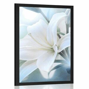 Plakat biały kwiat lilii na abstrakcyjnym tle obraz
