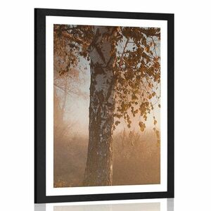 Plakat z passe-partout mglisty jesienny las obraz