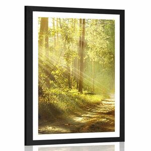 Plakat z passe-partout promienie słońca w lesie obraz