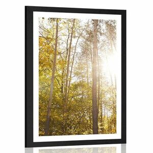 Plakat z passe-partout las w jesiennych kolorach obraz