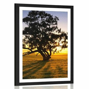 Plakat z passe-partout samotne drzewo o zachodzie słońca obraz