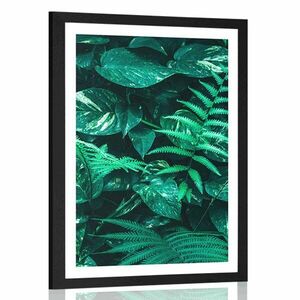 Plakat z passe-partout świeże tropikalne liście obraz