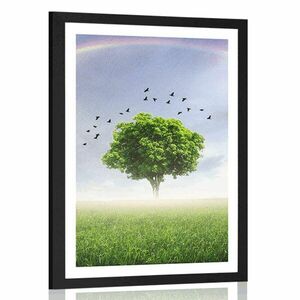 Plakat z passe-partout samotne drzewo na łące obraz