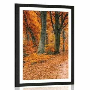 Plakat z passe-partout las w sezonie jesiennym obraz
