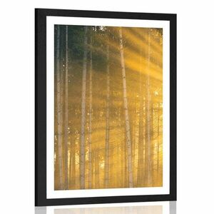 Plakat z passe-partout słońce za drzewami obraz
