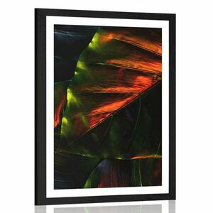 Plakat z passe-partout liście palm tropikalnych obraz
