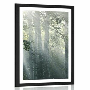 Plakat z passe-partout promienie słońca w mglistym lesie obraz