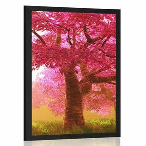 Plakat kwitnące drzewa wiśni obraz