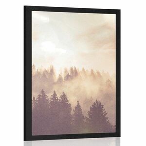 Plakat mgła nad lasem obraz