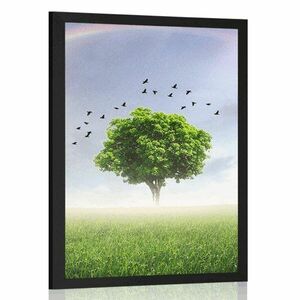 Plakat samotne drzewo na łące obraz