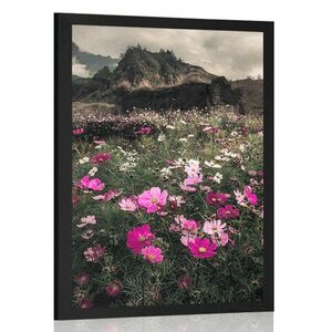 Plakat łąka kwitnących kwiatów obraz