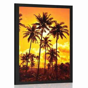 Plakat palmy kokosowe na plaży obraz
