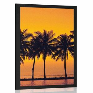 Plakat zachód słońca nad palmami obraz