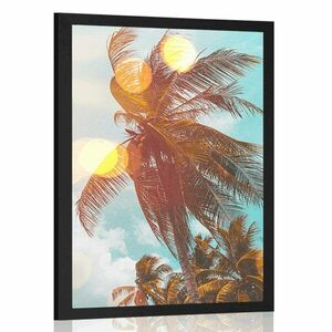 Plakat promienie słońca między palmami obraz