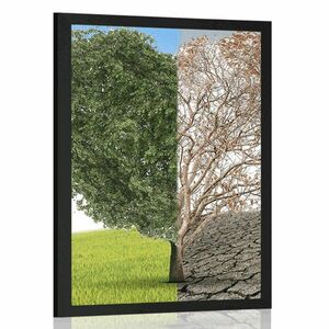 Plakat drzewo w dwóch formach obraz