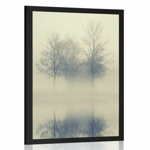 Plakat drzewa we mgle obraz