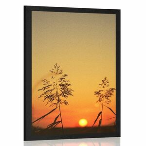 Plakatźdźbła trawy o zachodzie słońca obraz