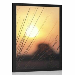 Plakat wschód słońca nad łąką obraz