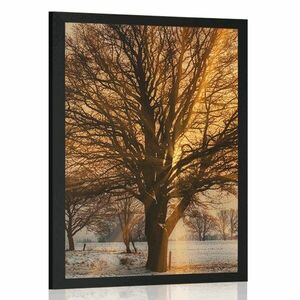 Plakat drzewo w śnieżnym krajobrazie obraz