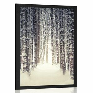 Plakat las pokryty śniegiem obraz