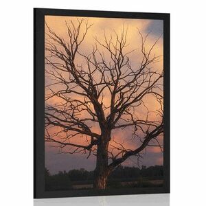 Plakat piękne drzewo na łące obraz