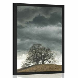 Plakat samotne drzewa obraz