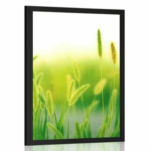 Plakat źdźbła trawy w zielonym designie obraz