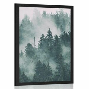 Plakat góry we mgle obraz