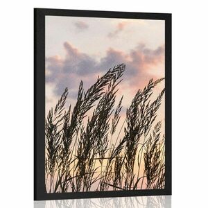 Plakat trawa o zachodzie słońca obraz