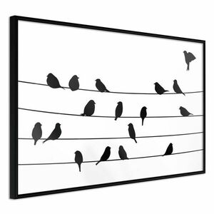 Plakat ptaki na drucie obraz