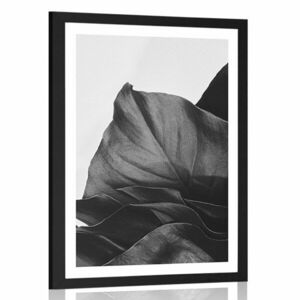Plakat z passe-partout magiczny liść monstery w czerni i bieli obraz