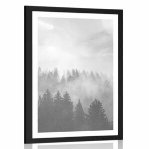 Plakat z passe-partout mgła nad lasem w czerni i bieli obraz
