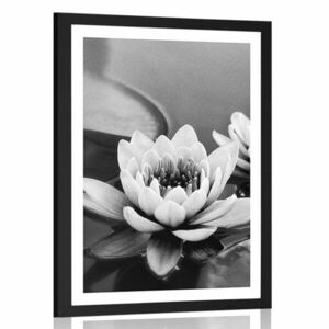 Plakat z passe-partout kwiat lotosu w jeziorze w czerni i bieli obraz